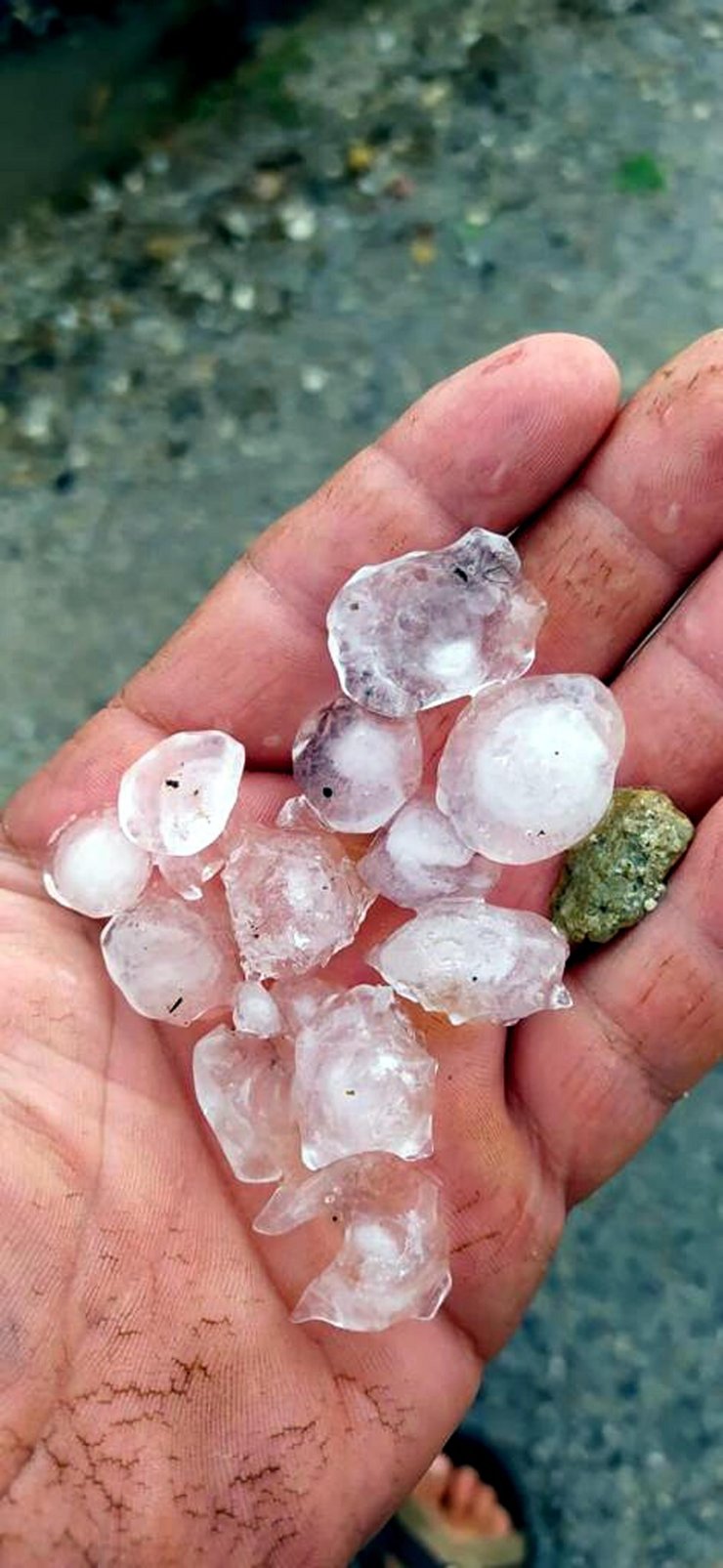 Dolu yağışı, tarım ürünlerine zarar verdi