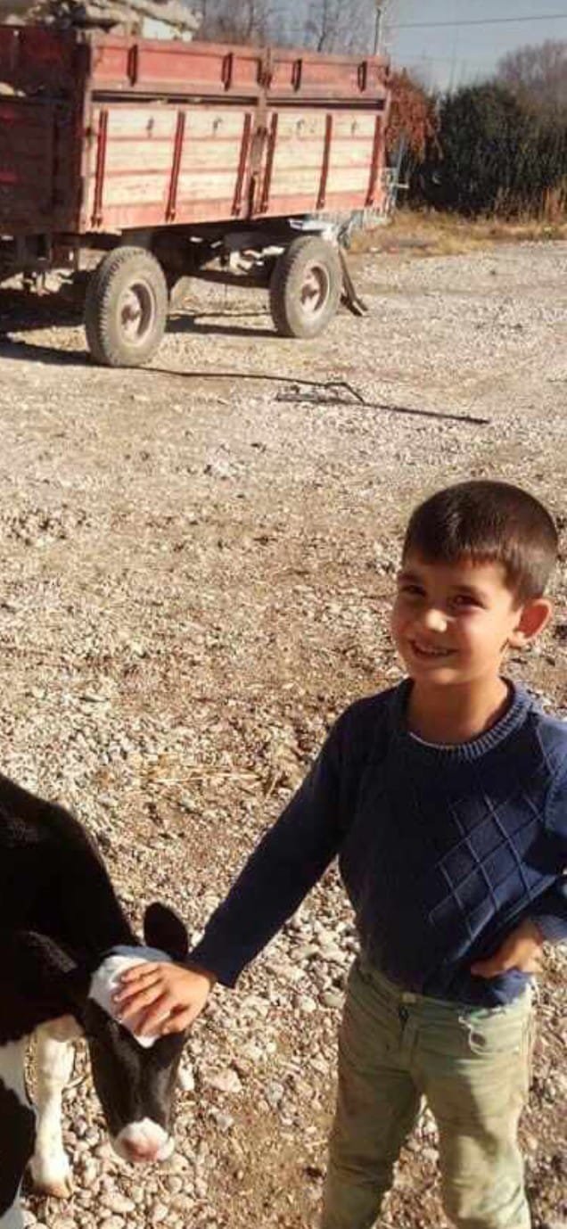 Konya'da başıboş 4 köpek, 8 yaşındaki çocuğa saldırdı!