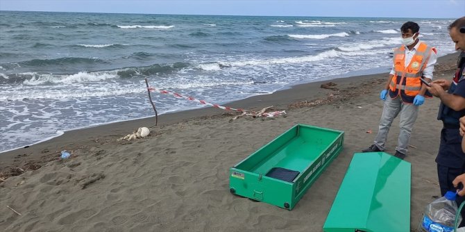 Samsun'da sahile iskelet vurdu