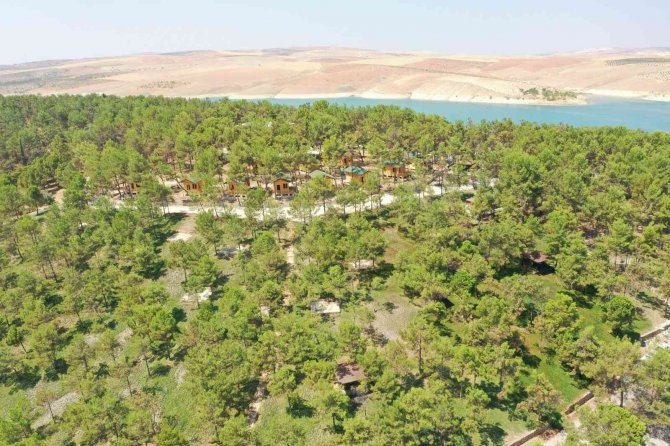 Şanlıurfa doğunun Akdeniz’i olma yolunda ilerliyor