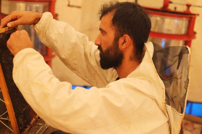 Dağın eteklerinde bal hasadına başlandı