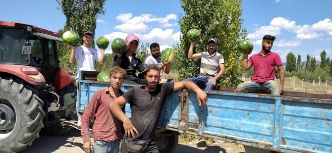 Konya'da üretiliyor, Avrupa'ya ihraç ediliyor