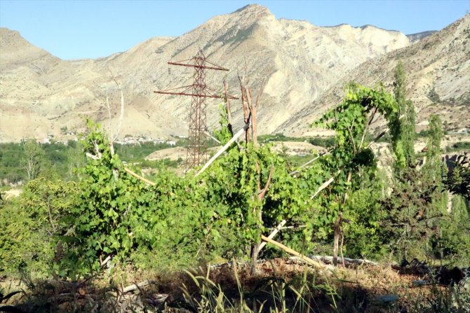 Arazisinden geçen enerji hattı için başlattığı hukuk mücadelesini AYM kararıyla kazandı