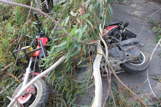 Hatay'da devrilen ağacın altında kalan motosikletteki 2 kişi yaralandı