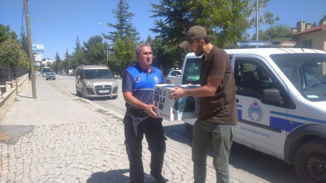 Konya'da kanadı kırık atmacaya güvenlik güçleri sahip çıktı
