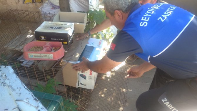 Konya'da kanadı kırık atmacaya güvenlik güçleri sahip çıktı
