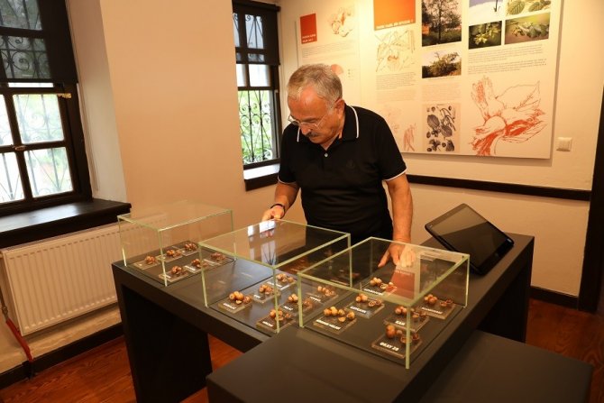 Türkiye’de bir ilk!