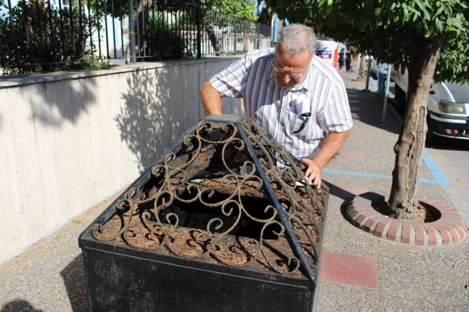 Binlerce kişi yanından geçiyor ama kimse ne olduğunu bilmiyor