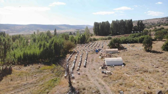 630 ton bal hasadı bekleniyor