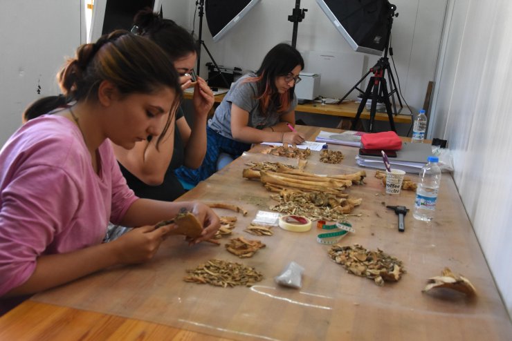 SÜ ekibi 4 bin 500 yıllık ağrı kesici buldu