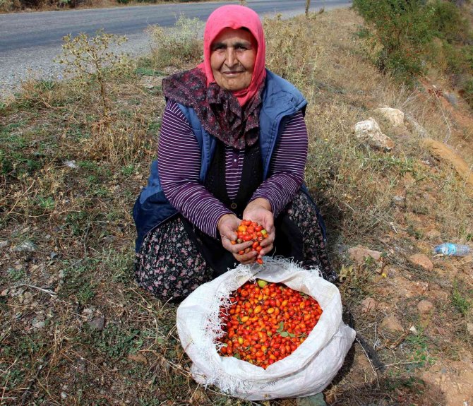 Kış aylarının vazgeçilmezi, bağışıklık sistemini güçlendirip cildi yeniliyor