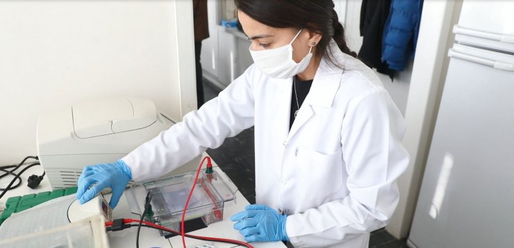 Türkiye için kritik öneme sahip yerli şeker pancarı tohumunda hedef ihracat