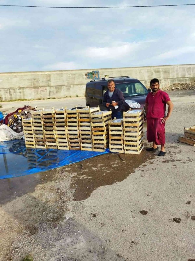 Karadeniz’de palamut bolluğu