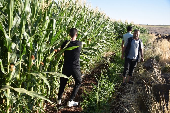 Kaybolan üniversite öğrencisinin cesedi bulundu