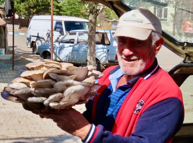 Konya'da bulundu, gören şaştı kaldı