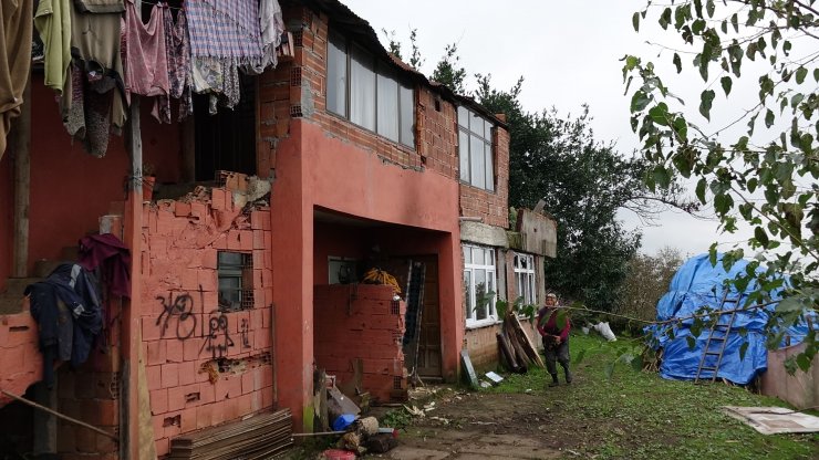 6'sı öldü, 16'sı kayıp! 'Kimyasalla toplu köpek ölümü’ iddiasına soruşturma
