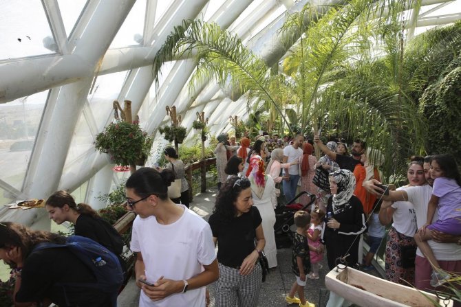 Tropikal Kelebek Bahçesini ziyaret eden kişi sayısı açıklandı