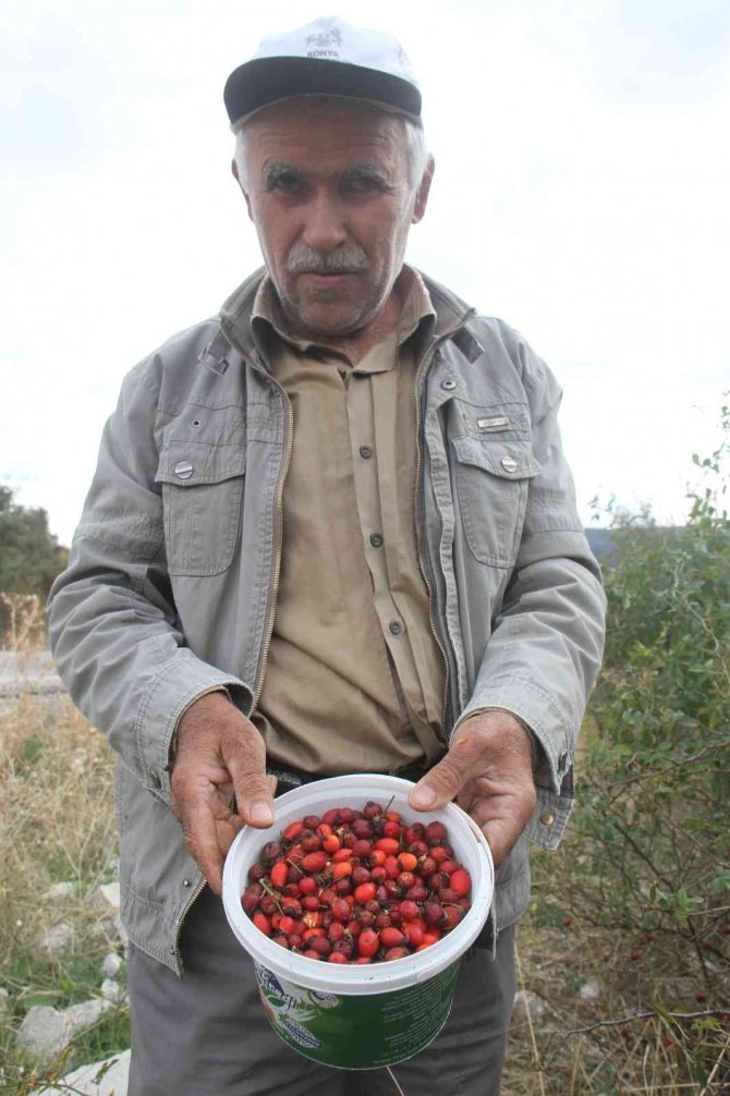 Konya’da vatandaşların "şifa deposu" mesaisi başladı! Marmelatı 100 lira