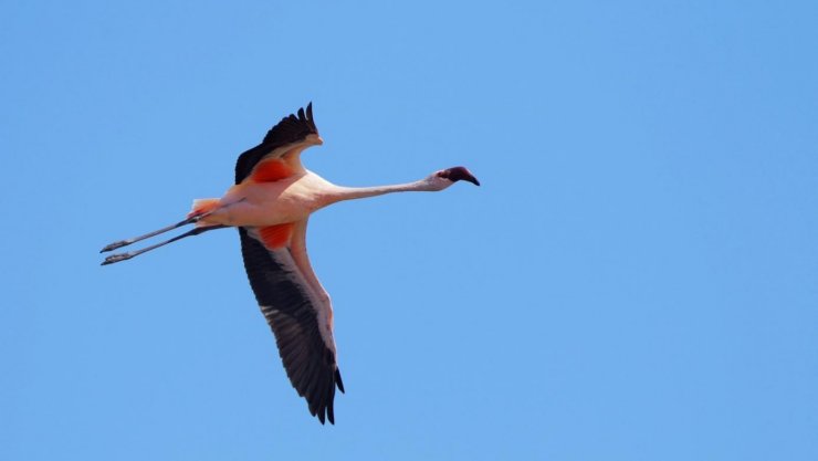 Bakan Kurum: Aldığımız tedbirler sonuç verdi
