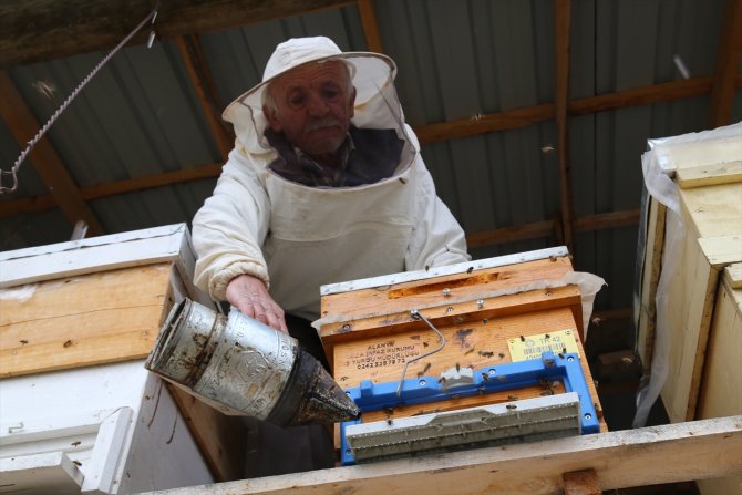 Konya'ya örnek üretici: 40 yıldır bal üreterek 7 çocuk yetiştirdi