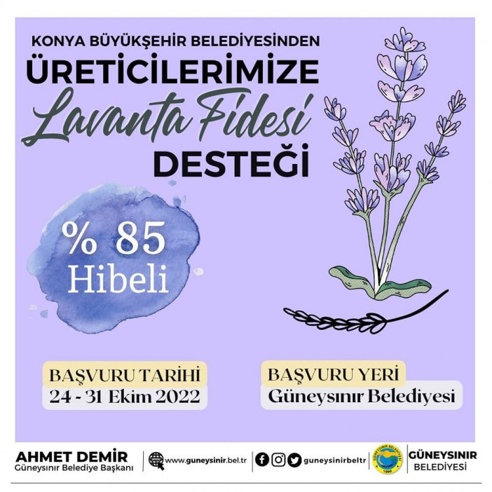 guneysinira-lavanta-destegi.jpg