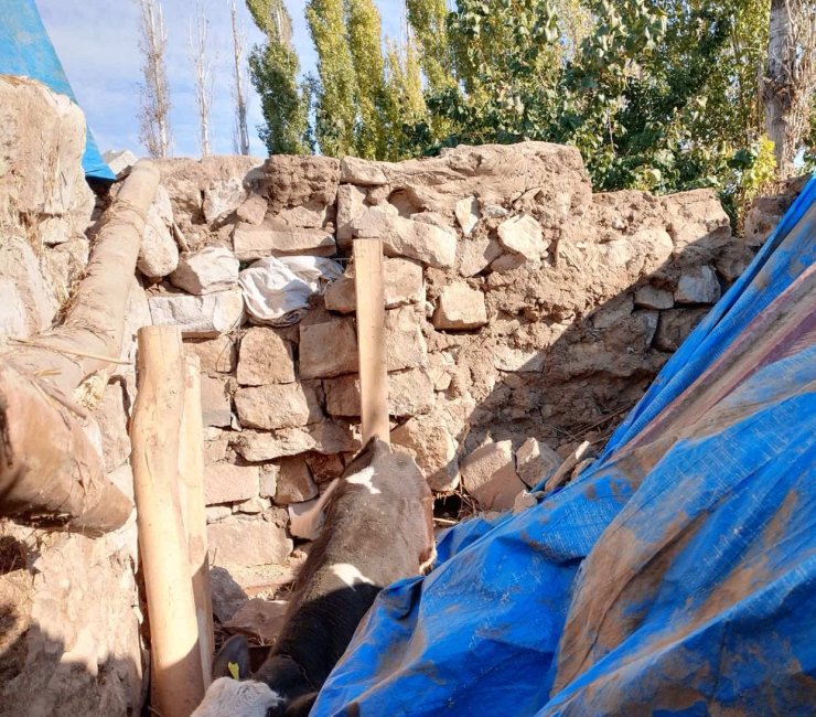 Niğde’de ahır çöktü: 1 ölü, 1 yaralı