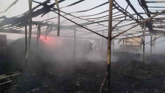 Eski tavuk çiftliği alevlere teslim oldu