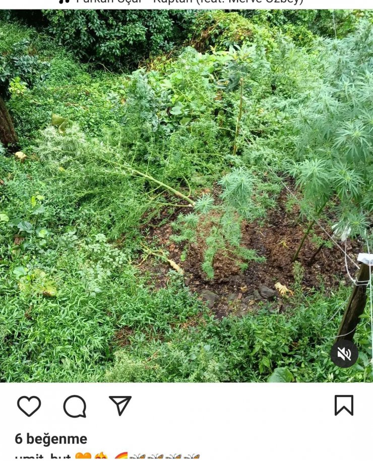 Sosyal medyada para yaktı, uyuşturucu fotoğrafları paylaştı; tutuklandı