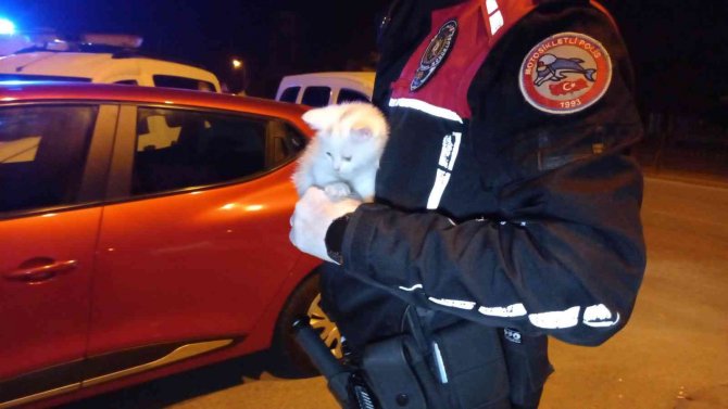 Konya'da "Dur" ihtarına uymadı, polis aracına çarparak durabildi