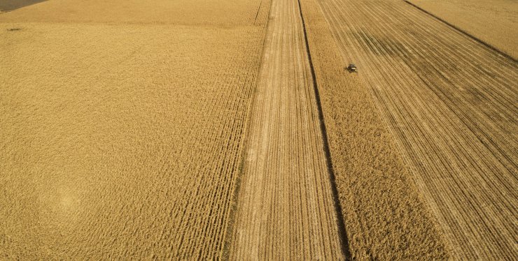 Konya Ovası'nın yeni sezon gözdesi yine o ürün olacak