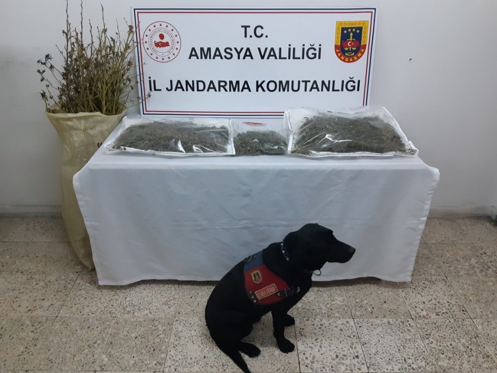 Narkotik köpeği ‘Puslu’ uyuşturucuyu saklandığı yerde buldu
