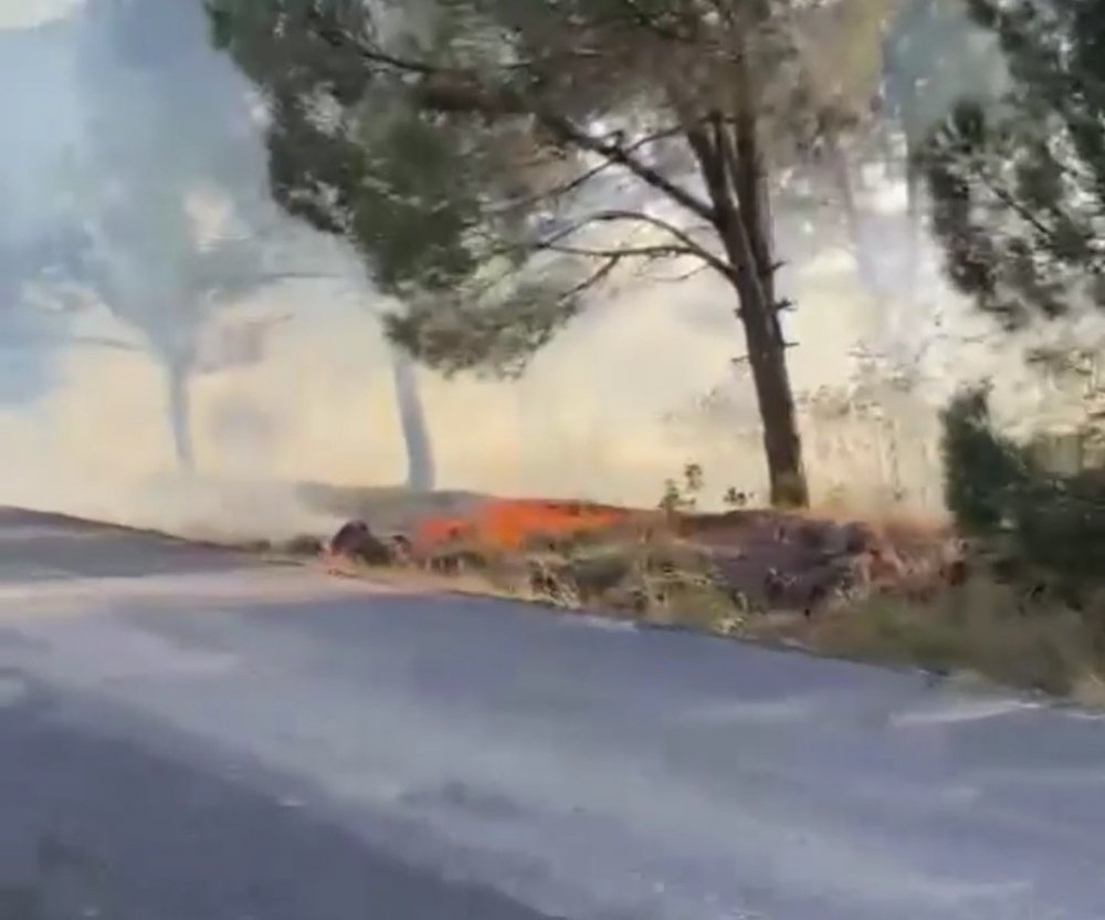 Ormanlık alanda çıkan yangın korkuttu