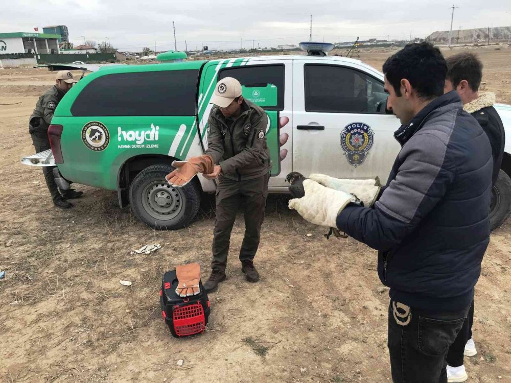 Konya'da arazide ayakları bağlı halde bulundu