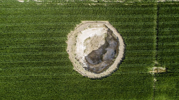 Konya Ovası'nda sayıları 2 bin 600'ü geçti! Eylem planı hazırlanacak