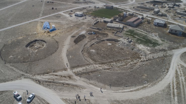 Konya Ovası'nda sayıları 2 bin 600'ü geçti! Eylem planı hazırlanacak