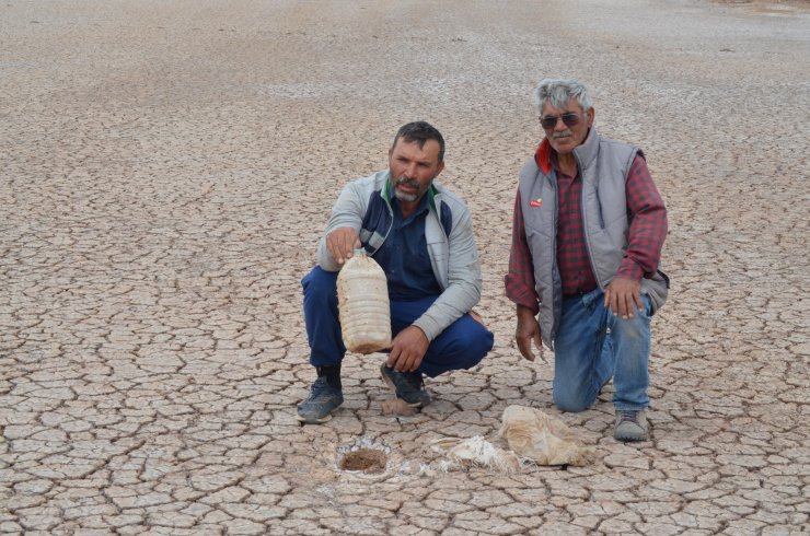 Kuraklıktan etkilenen Tuz Gölü'nde bir sorun daha yaşanıyor
