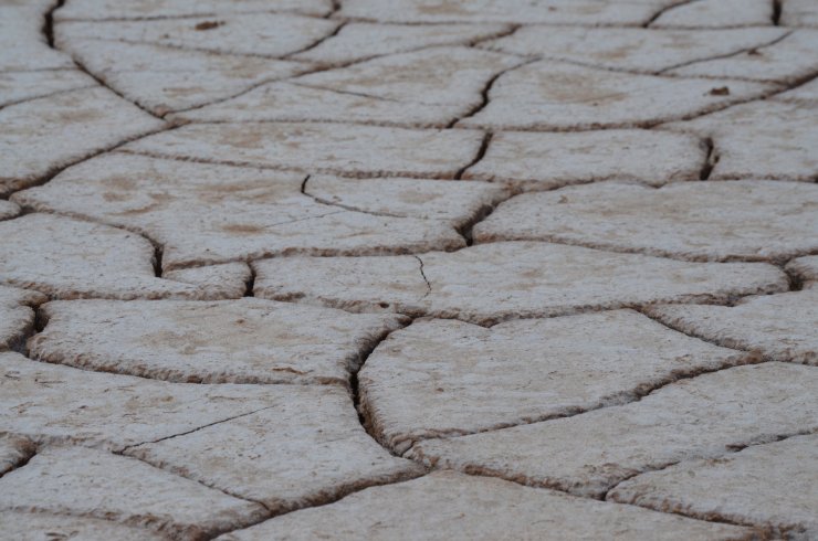 Kuraklıktan etkilenen Tuz Gölü'nde bir sorun daha yaşanıyor