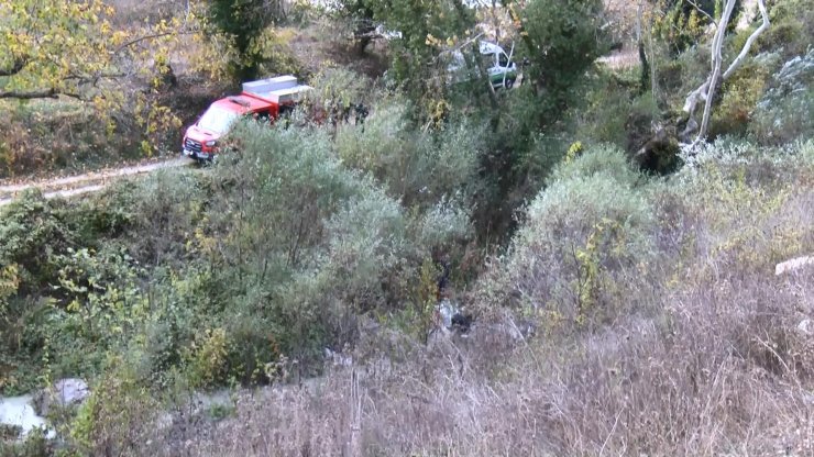 Seyir halindeyken rahatsızlanınca kaza yaptı, eşi öldü