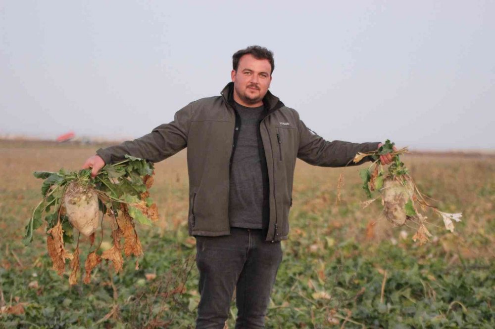 Konya Ovası'nda 1 milyon dekar alanda hasat sürüyor