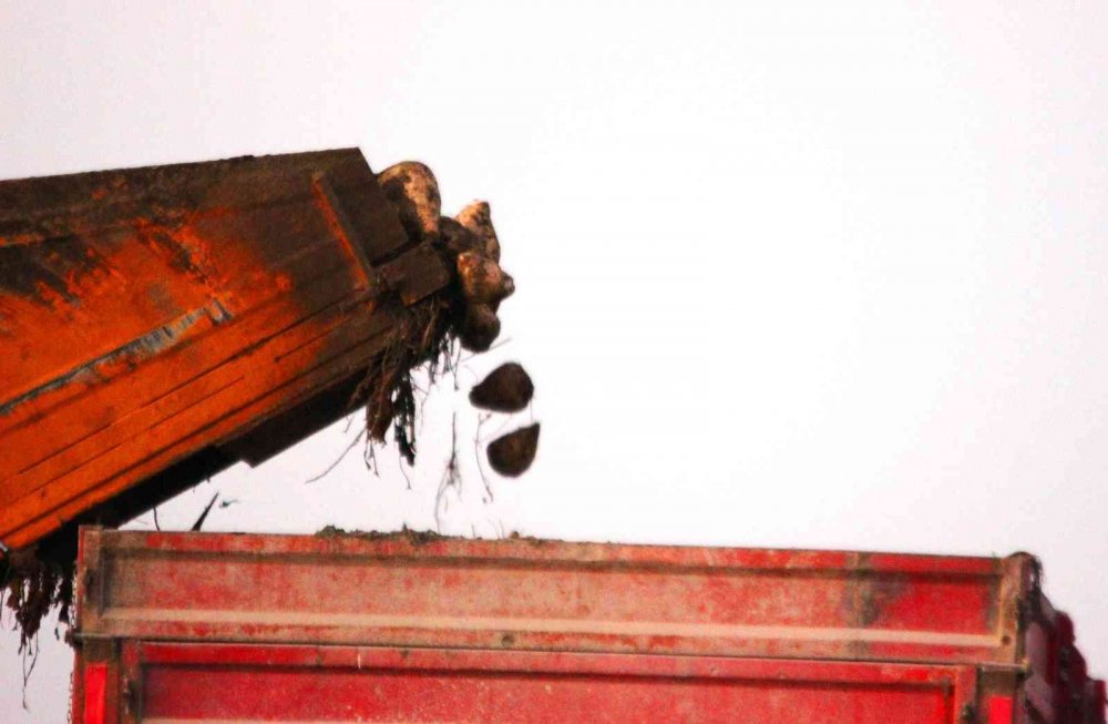 Konya Ovası'nda 1 milyon dekar alanda hasat sürüyor