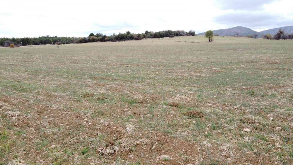Konya’da bir türlü gelmeyen yağışlar için eller semaya kalktı