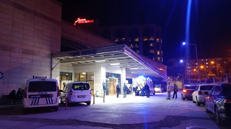 Fidan yetiştiricileri ile hayvan sahipleri arasında kavga: 7 yaralı