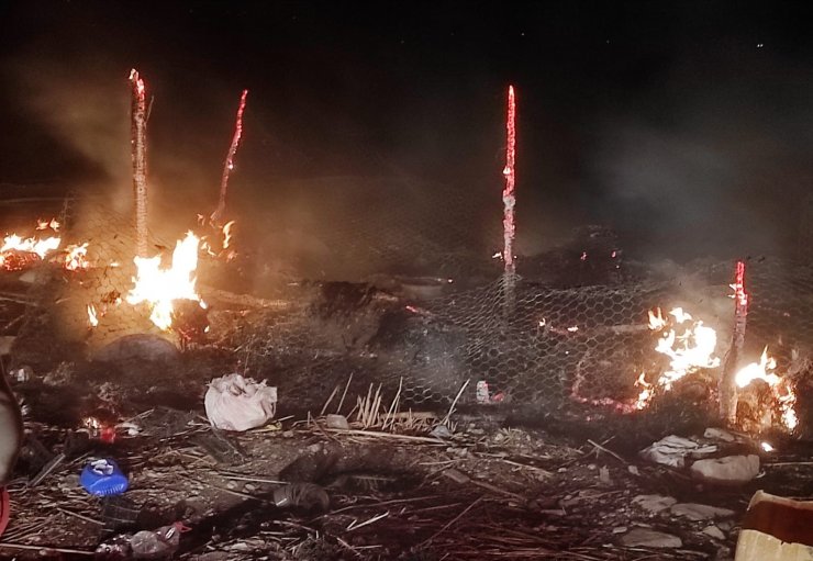 Göçerlerin çadırı yandı: 55 koyun telef oldu, 100 bin TL de yanarak kül oldu