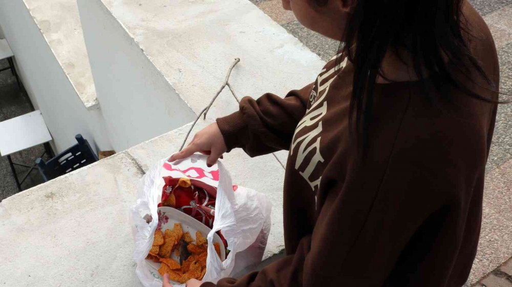 Cps paketinin içinden fare ölüsü çıkınca şoke oldular