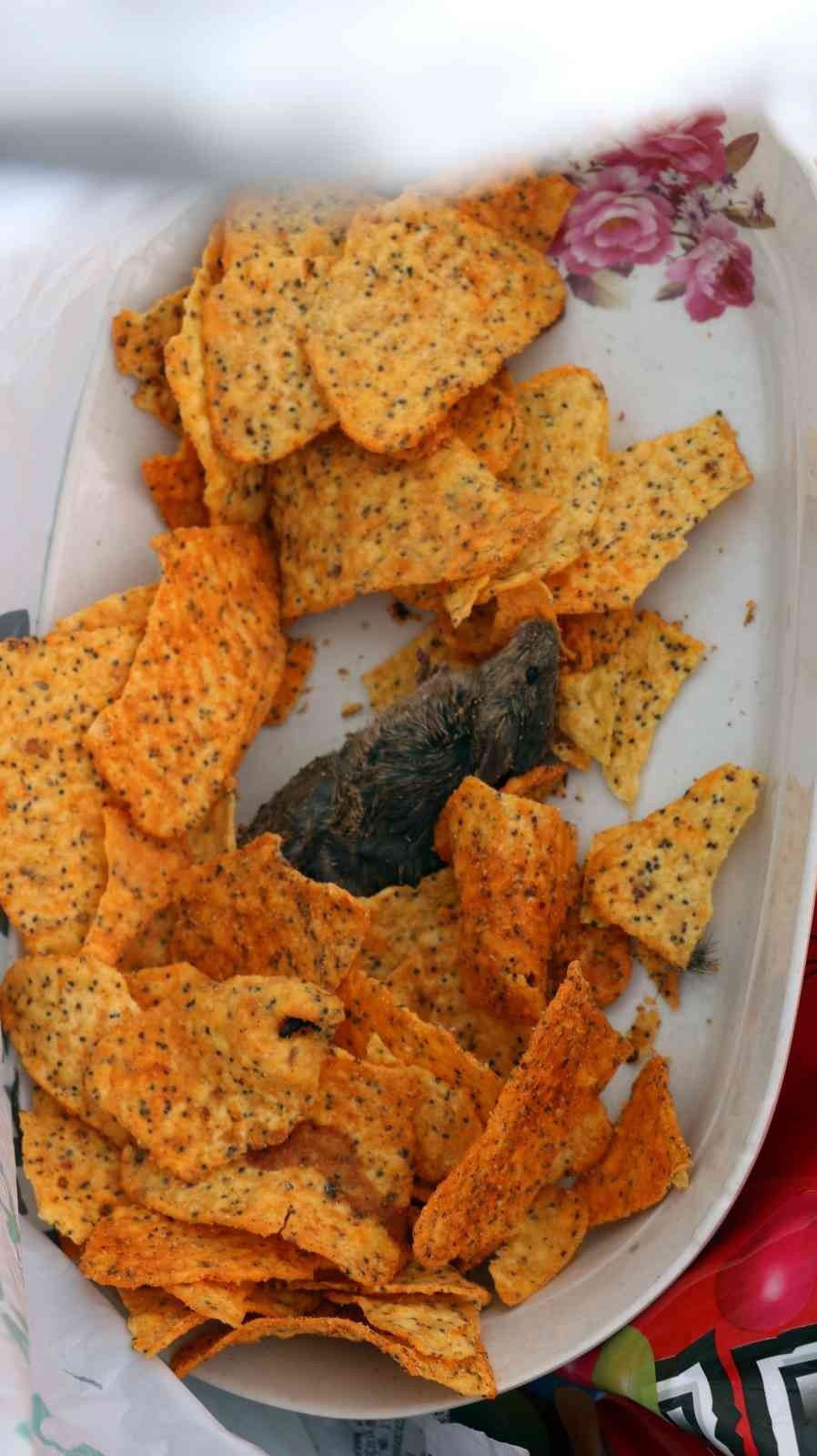 Cps paketinin içinden fare ölüsü çıkınca şoke oldular