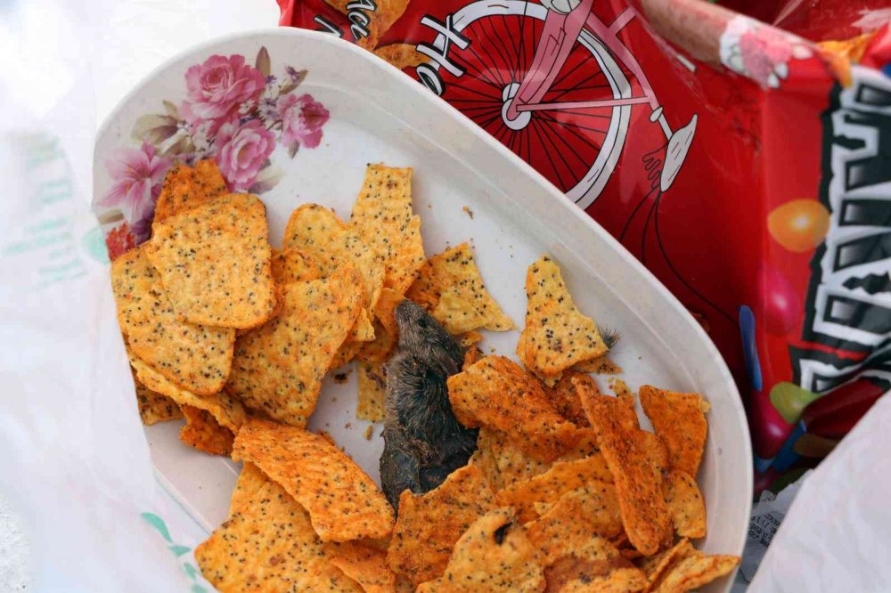 Cps paketinin içinden fare ölüsü çıkınca şoke oldular