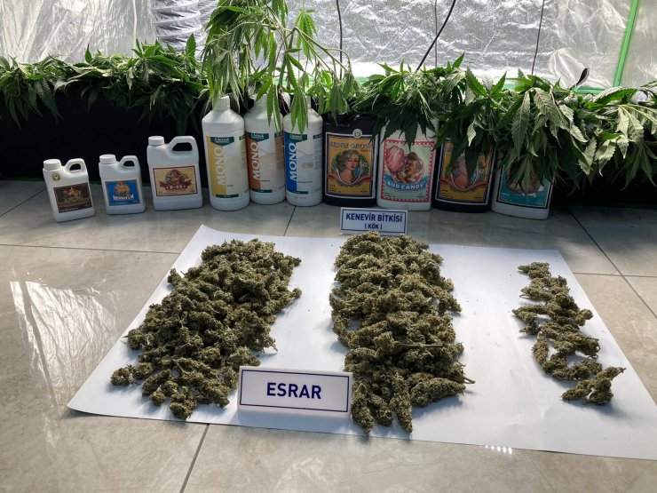 Ankara merkezli 5 ilde uyuşturucu operasyonu: 138 gözaltı