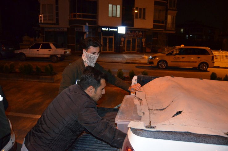 1 kraliyet pitonu ile 10 sakallı ejder Konya'da...