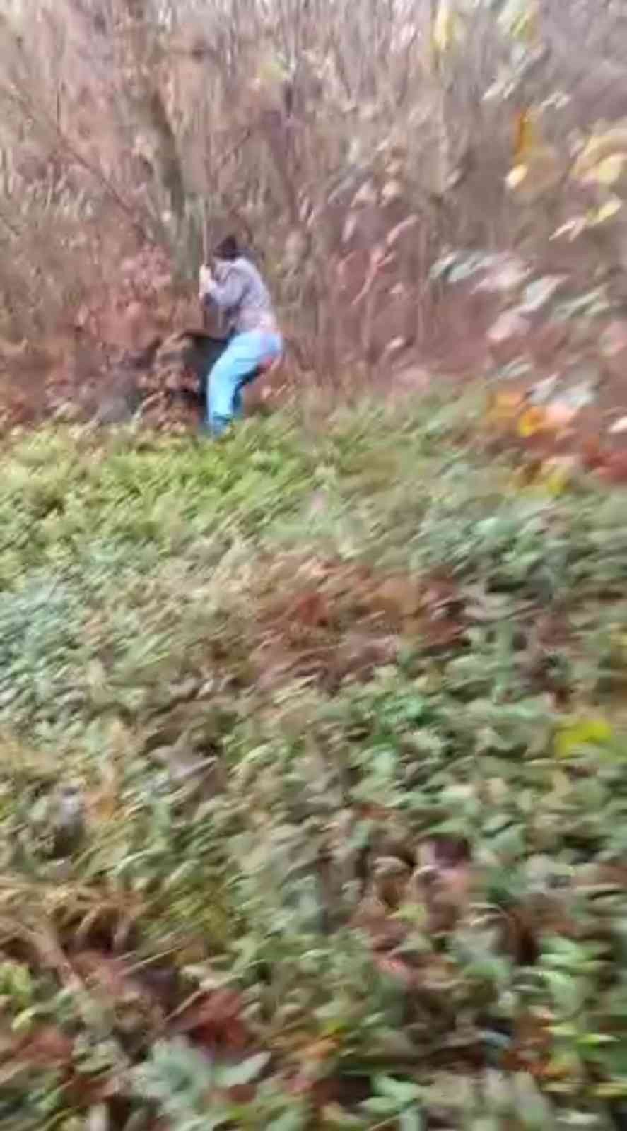 Ormanda odun kesen muhtara domuz saldırdı