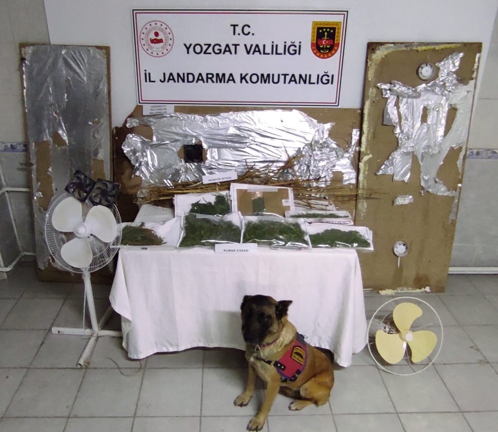 Yozgat’ta bağ evine uyuşturucu operasyonu